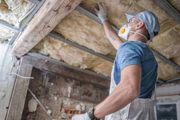 Best Insulation Maintenance and Repair in Ardsley, NY